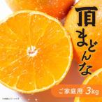 ふるさと納税 八幡浜市 紅まどんなと同じ品種《頂まどんな》ご家庭用 3kg 【C31-22】