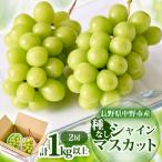 ふるさと納税 中野市 【2025年発送】長野県 中野市産 シャインマスカット2房(1.0kg以上)