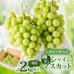ふるさと納税 中野市 【2025年発送】長野県 中野市産 シャインマスカット4房(2.0kg以上)