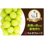 ショッピングシャインマスカット ふるさと納税 笛吹市 シャインマスカット　約1.5kg(大房2房)　朝採り産地直送