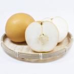 ふるさと納税 小山市 栃木県小山市産「梨」甘太 5kg