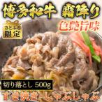 博多和牛A5~A4 切り落とし500g