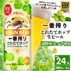 ふるさと納税 遠野市 キリン 一番搾り とれたてホップ 生ビール 500ml×24本 1ケース 遠野市 産 ホップ 使用