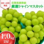 ショッピングシャインマスカット ふるさと納税 唐津市 【濃厚芳醇】シャインマスカット 1kg 佐賀県唐津産〈先行受付〉2024年9月中旬より順次発送