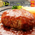 ふるさと納税 利府町 デミグラスソースハンバーグ 160g×20個