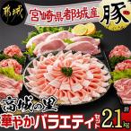 ふるさと納税 都城市 「高城の里」華やかバラエティセット　2.1kg