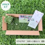 ふるさと納税 小山市 グランドカバー植物「クラピアK7」10ポット苗セット【お申込書返信後、ご希望日に合わせて発送】