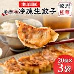 ふるさと納税 津山市 津山黒豚手作り冷凍生餃子(60個セット)