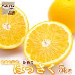 ふるさと納税 和歌山市 【訳あり】はっさく 和歌山産 八朔 5kg 【ご自宅用・サイズ不揃い・キズ等あり】