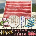 ふるさと納税 養父市 神戸牛 しゃぶしゃぶ & すき焼き用 かた ・ もも肉 計600g YBS2
