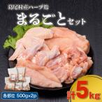 産ハーブ鶏まるごと5kgセット 鶏肉 冷凍