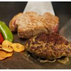 fu.... налог восток Osaka город [ новый сосна . ткань . головной офис ]AG-2 ланч / пара . сертификат на обед 