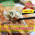 ふるさと納税 宇都宮市 宇都宮餃子 運気アップ餃子 ちょうX3いい感じ餃子 保存料不使用