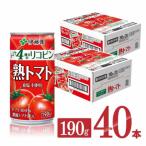 ふるさと納税 川南町 伊藤園の熟トマト(缶) 食塩不使用トマトジュース190g×40本(川南町)