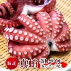 ふるさと納税 豊中市 真蛸(蒸しボイルたこ) 約1kg 調理簡単便利!おかずの一品やお酒のお供に人気です。