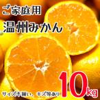 ふるさと納税 和水町 訳あり　家庭用　温州みかん　約10kg　不揃い　(和水町)