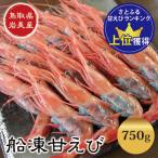 ふるさと納税 岩美町 岩美　船凍甘えび 大/子持　1箱(約750g[30〜32尾])