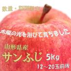 ふるさと納税 山形県 【令和7年度産先行受付】※数量・期間限定 山形県産りんご サンふじ 秀品 約5kg 12〜20玉前後
