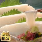 美味お刺身帆立 500g &イカソーメン 450g セット