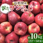 ふるさと納税 山形県 【訳あり】山形県産 サンふじ りんご 10kg バラ詰め ご自宅用