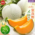 ショッピング09 ふるさと納税 富良野市 【先行受付】富良野メロン　秀品　赤肉約2.5kg×1玉