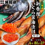 ふるさと納税 宮古市 新巻鮭6切といくら醤油漬け80g×2パック