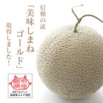 ふるさと納税 津和野町 メロンパークのメロン【2025年9月より順次発送・2Lサイズ2玉】