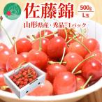 ショッピングふるさと納税 さくらんぼ ふるさと納税 山形県 さくらんぼ 佐藤錦 L玉以上 500g×1パック ギフト箱入り 山形県産 【令和6年産 先行受付】