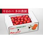 ふるさと納税 山辺町 《先行受付》2024年 山形県産 佐藤錦 バラ詰(パック)500g