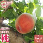 ふるさと納税 笛吹市 【ふるさと納税】先行受付 厳選!桃 約2kg(5〜8玉) 山梨県笛吹市産
