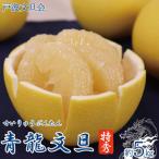 ふるさと納税 土佐市 《戸波文旦会》 青龍(せいりゅう)文旦 特秀 約5kg(2L〜4L混合サイズ)【土佐グルメ市場厳選】