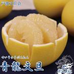ふるさと納税 土佐市 《戸波文旦会》 青龍文旦(せいりゅうぶんたん)約5kg(2L〜5L混合サイズ)【土佐グルメ市場厳選】