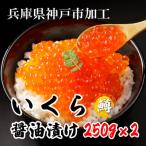 ふるさと納税 神戸市 鱒いくら醤油漬け500g(250g×2)小分けパック