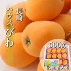 ふるさと納税 雲仙市 【のし付き】【数量限定】長崎ハウスびわ 500g 化粧箱入り