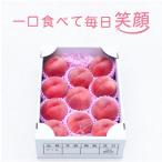ふるさと納税 山形県 【令和8年発送】山形 もぎたて白桃 　3kg　ギフト箱入