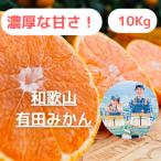 ふるさと納税 有田川町 【農家直送】濃厚な甘さの有田みかん10kg/【小玉サイズ】