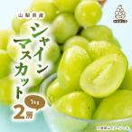 ふるさと納税 山梨市 厳選 池田青果のシャインマスカット2房 1kg ふるさと納税