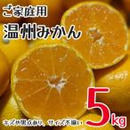 ふるさと納税 和水町 訳あり　家庭用　温州みかん　約5kg　不揃い　(和水町)