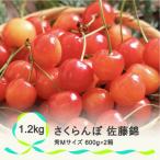 ふるさと納税 尾花沢市 さくらんぼ 佐藤錦 秀Mサイズ 1.2kg(600g×2箱) バラ詰め 2023年産 山形県産