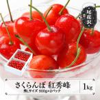 ふるさと納税 尾花沢市 さくらんぼ 紅秀峰 秀Lサイズ 1kg (500gx2パック) バラ詰め 2026年産 山形県産