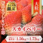 ふるさと納税 宇都宮市 【さとふる限定】令和8年1月中旬より順次発送予定「スカイベリー」約390g〜430×4パック