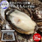 ショッピング牡蠣 ふるさと納税 厚岸町 北海道厚岸町のブランド牡蠣「マルえもん」3Lサイズ20個(生食用)