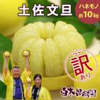 ふるさと納税 土佐市 <果樹園直送>土佐文旦約10kg 訳ありご家庭用(15〜20個)