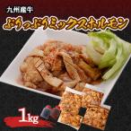 ぷりっぷりミックスホルモン1kg 8~9人前