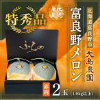 ふるさと納税 富良野市 【先行受付】【特秀】富良野メロン　赤肉2玉　北海道富良野市『大島農園』【7月中旬より順次発送】