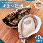ふるさと納税 海陽町 【生食用】シングルシード 方式でつくられたあまべ牡蠣(40個)
