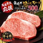 ふるさと納税 宮崎市 宮崎牛ロースステーキ 250g×2枚 計500g(宮崎市)