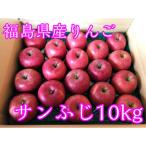 ふるさと納税 須賀川市 福島県産のりんご　サンふじ10kg(32〜46玉)　