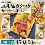 後からゆっくり返礼品を カタログ 寄付金額45万円