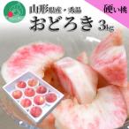 ふるさと納税 山形県 白桃 おどろき 3kg(5〜12玉前後) 大玉 ギフト用 山形県産 【令和7年産 先行受付】